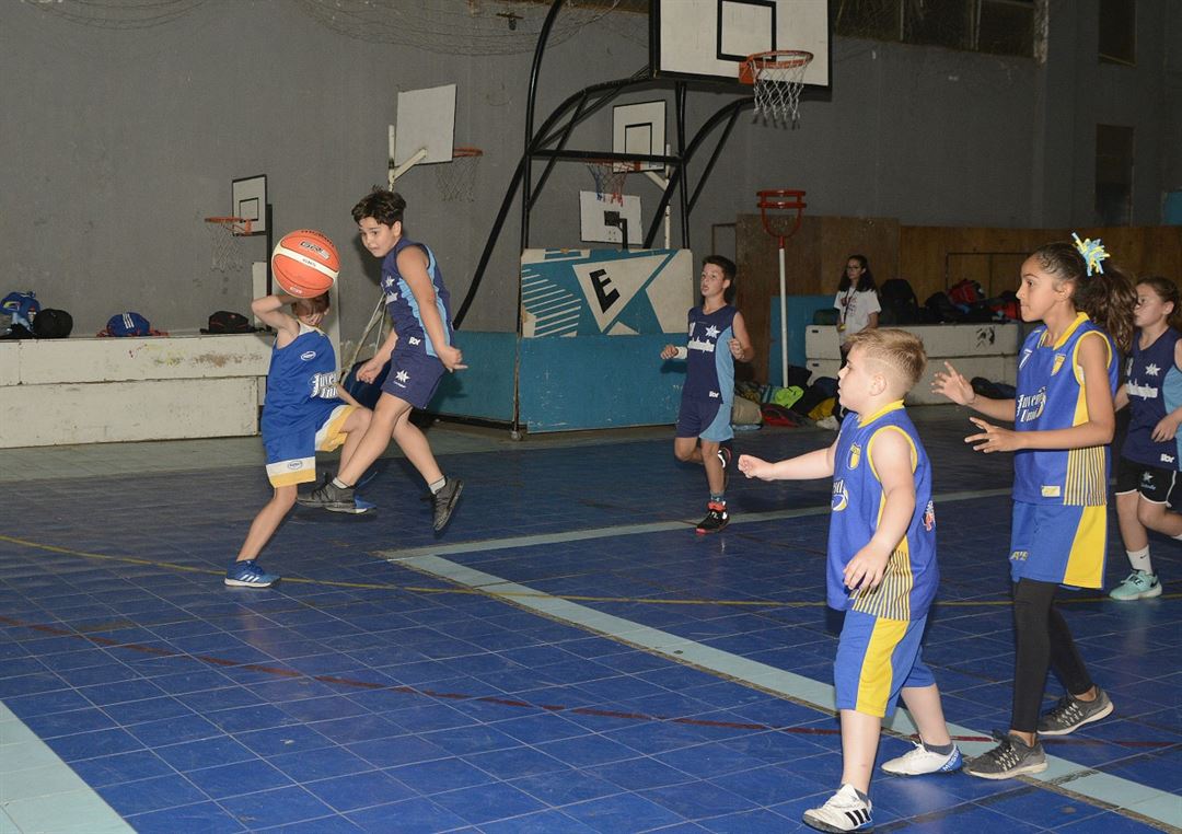 12hsminis 12