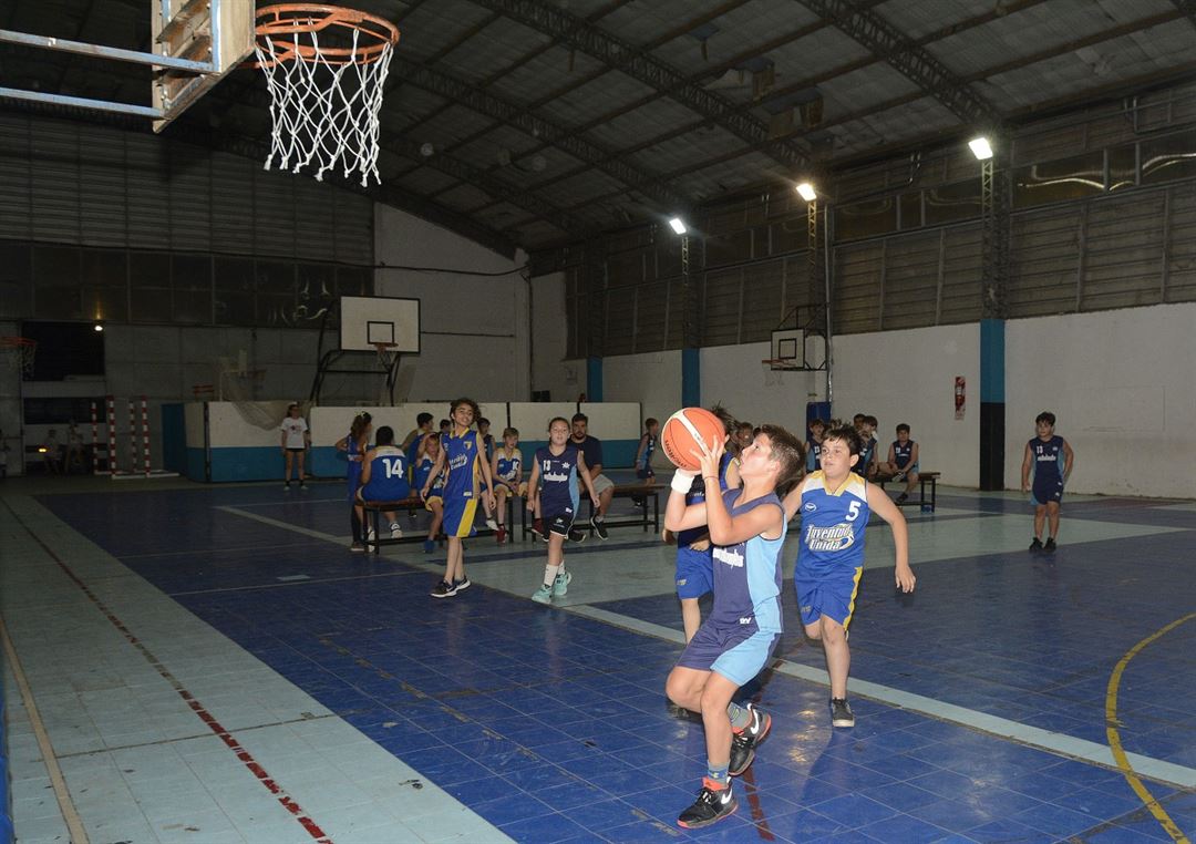 12hsminis 13