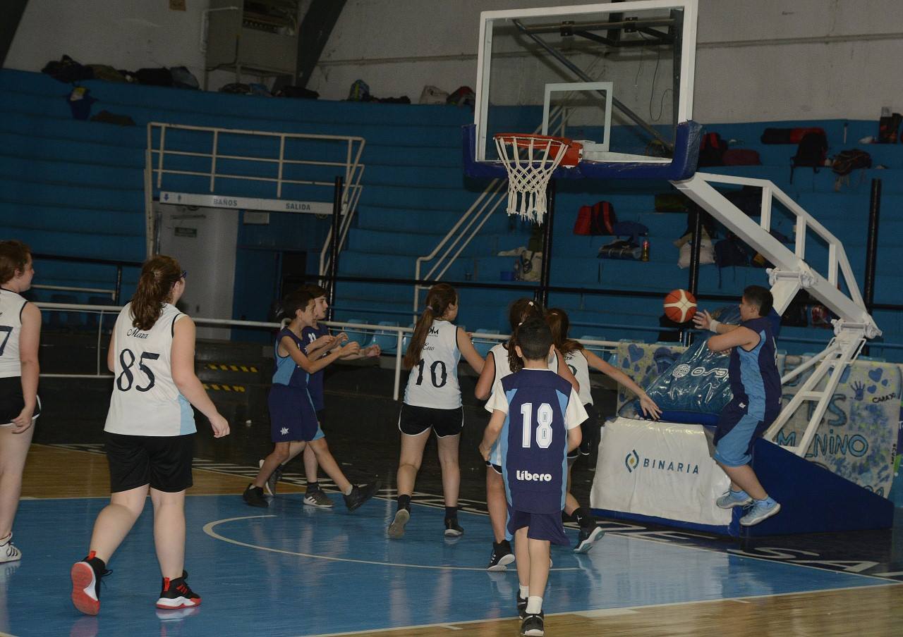 12hsminis 15
