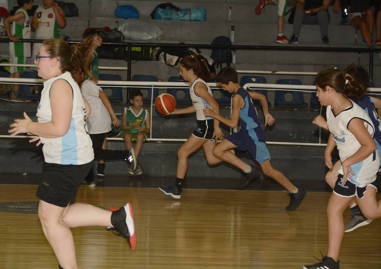 12hsminis 16