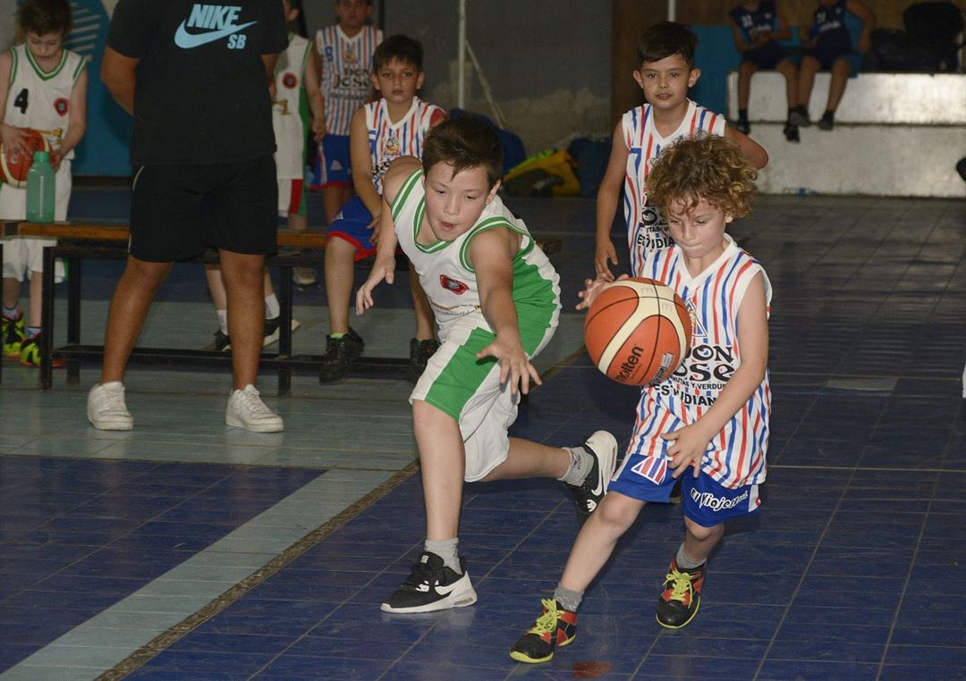 12hsminis 8
