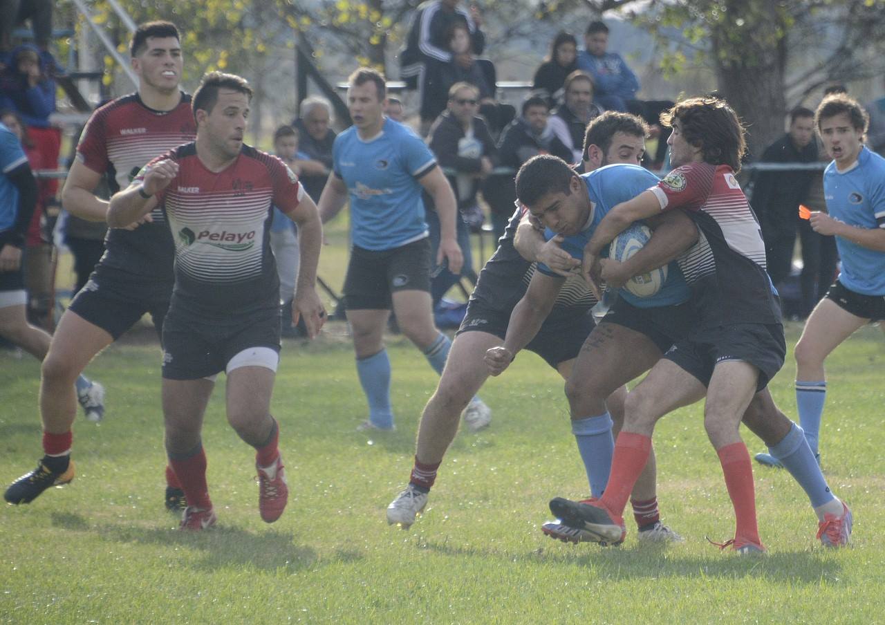 EstVSpicoR 17