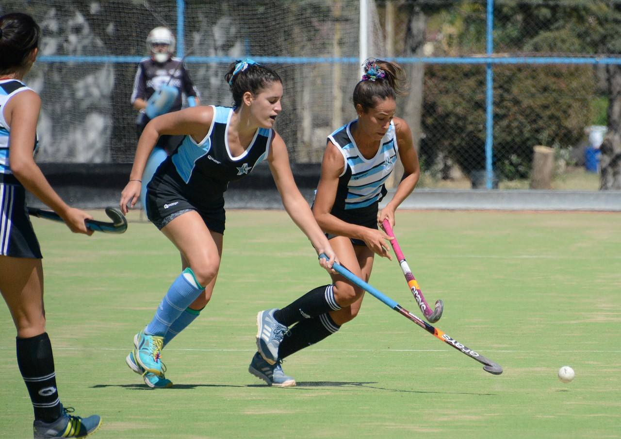 arranco 6