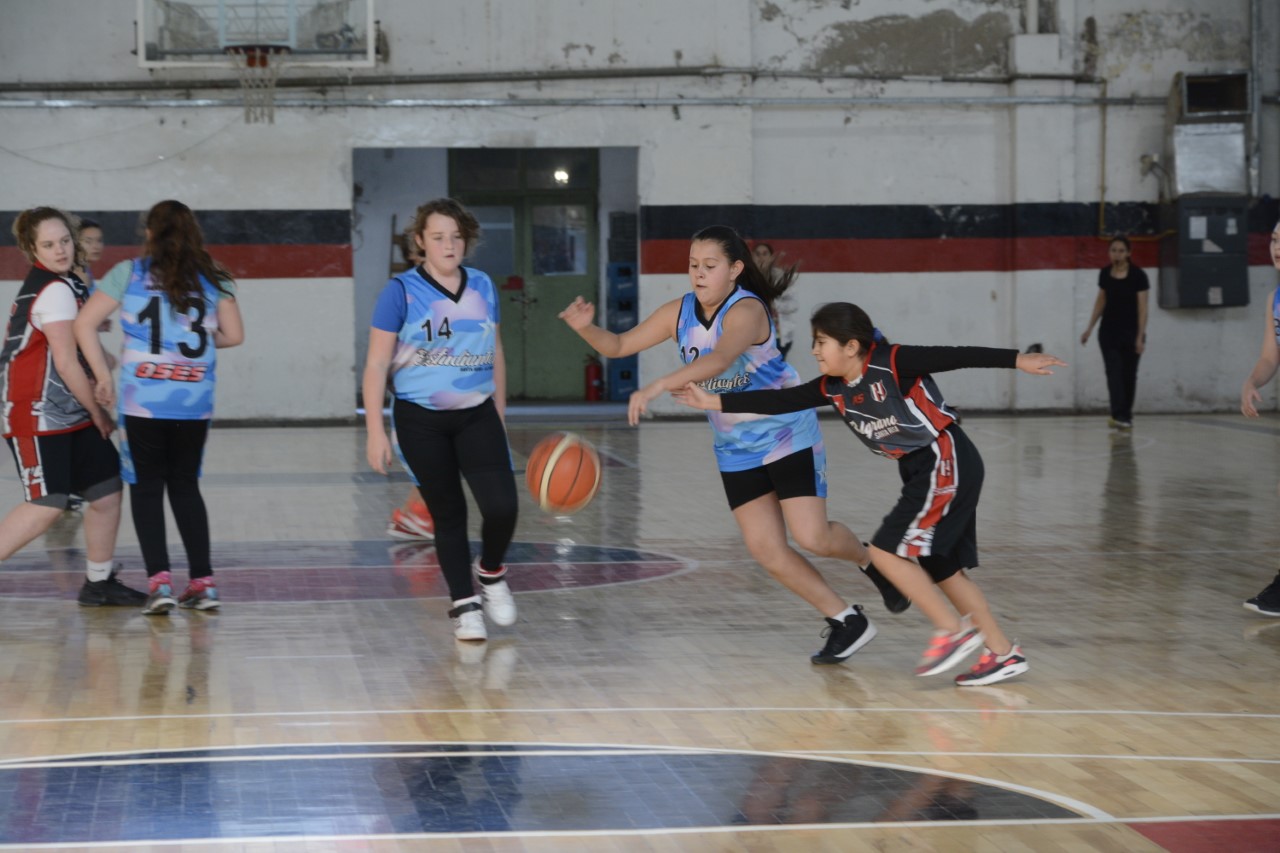 basfementrico 1