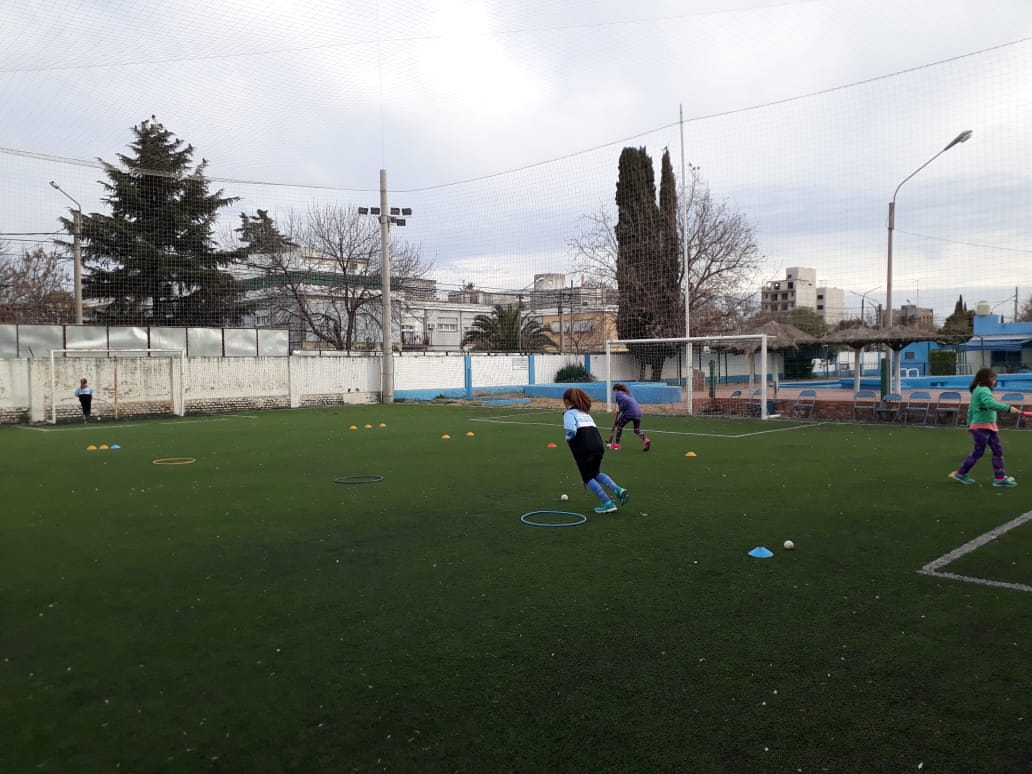 entrenar protocolo 5