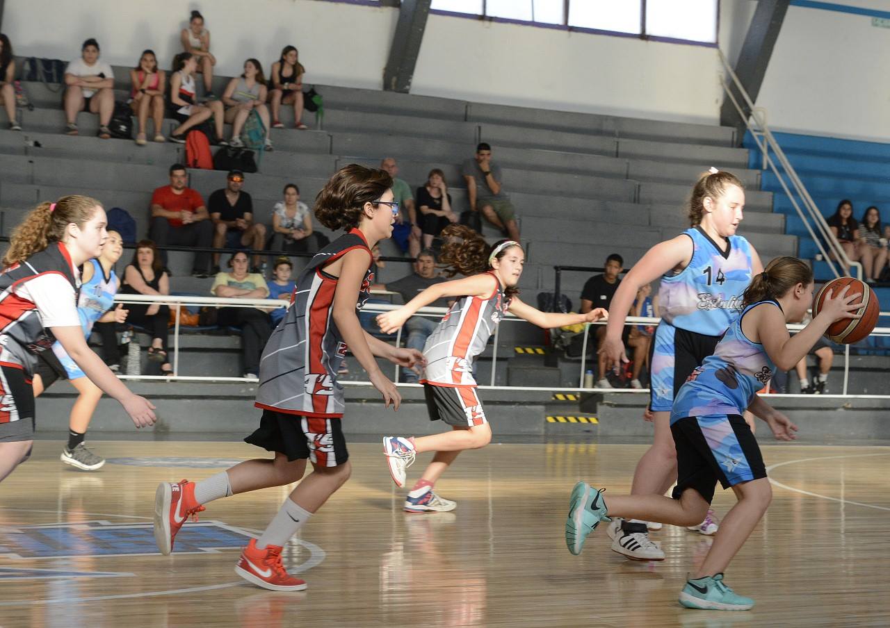 fechafem 6