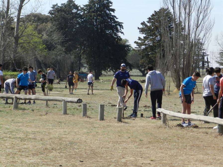 forestacionrugby 4