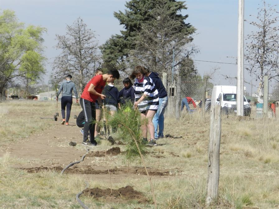 forestacionrugby 5
