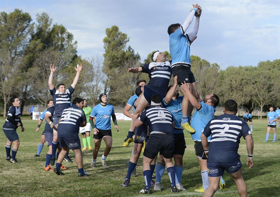 rugbyceleste 14