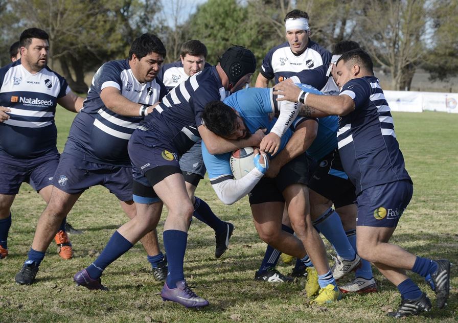 rugbyceleste 15