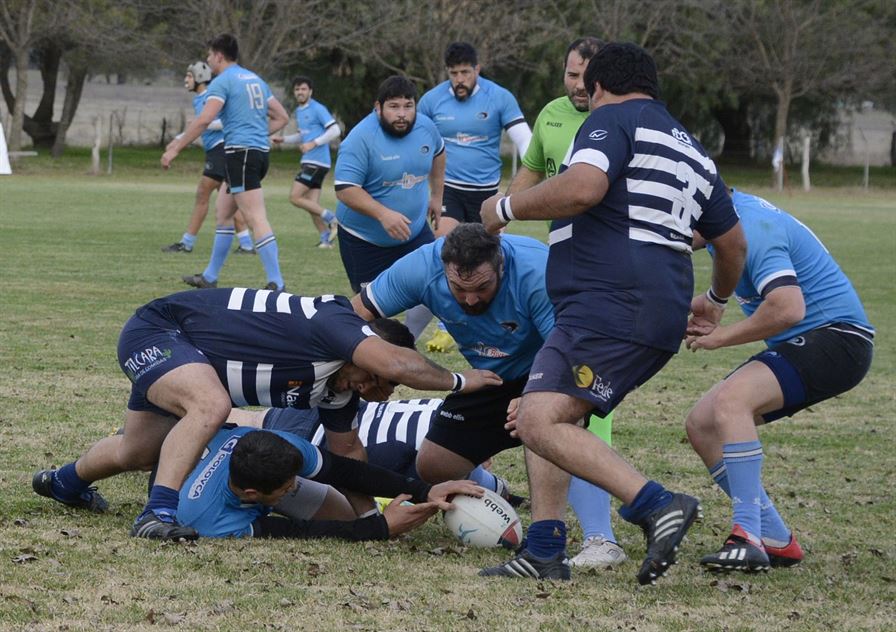 rugbyceleste 4