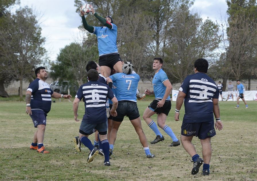 rugbyceleste 5