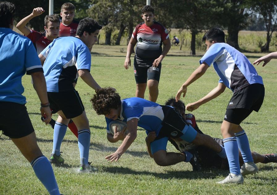 rugbyjuvenil 1