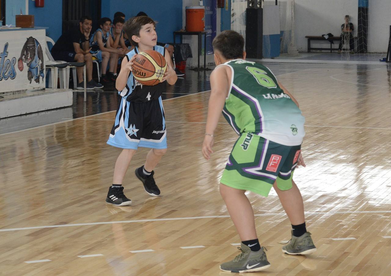 vsferro 10