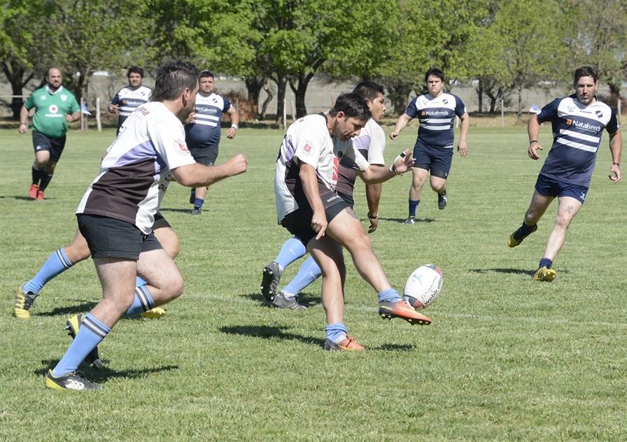 campeonesrugby 7